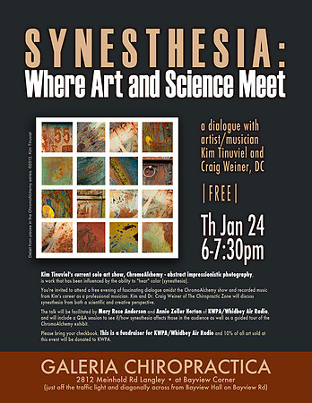 Synesthesia_poster_fb