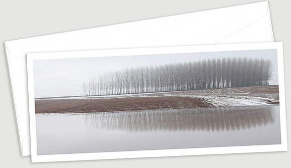 Windbreak_product