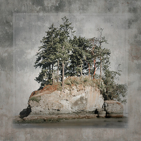 Salt Creek, prints available